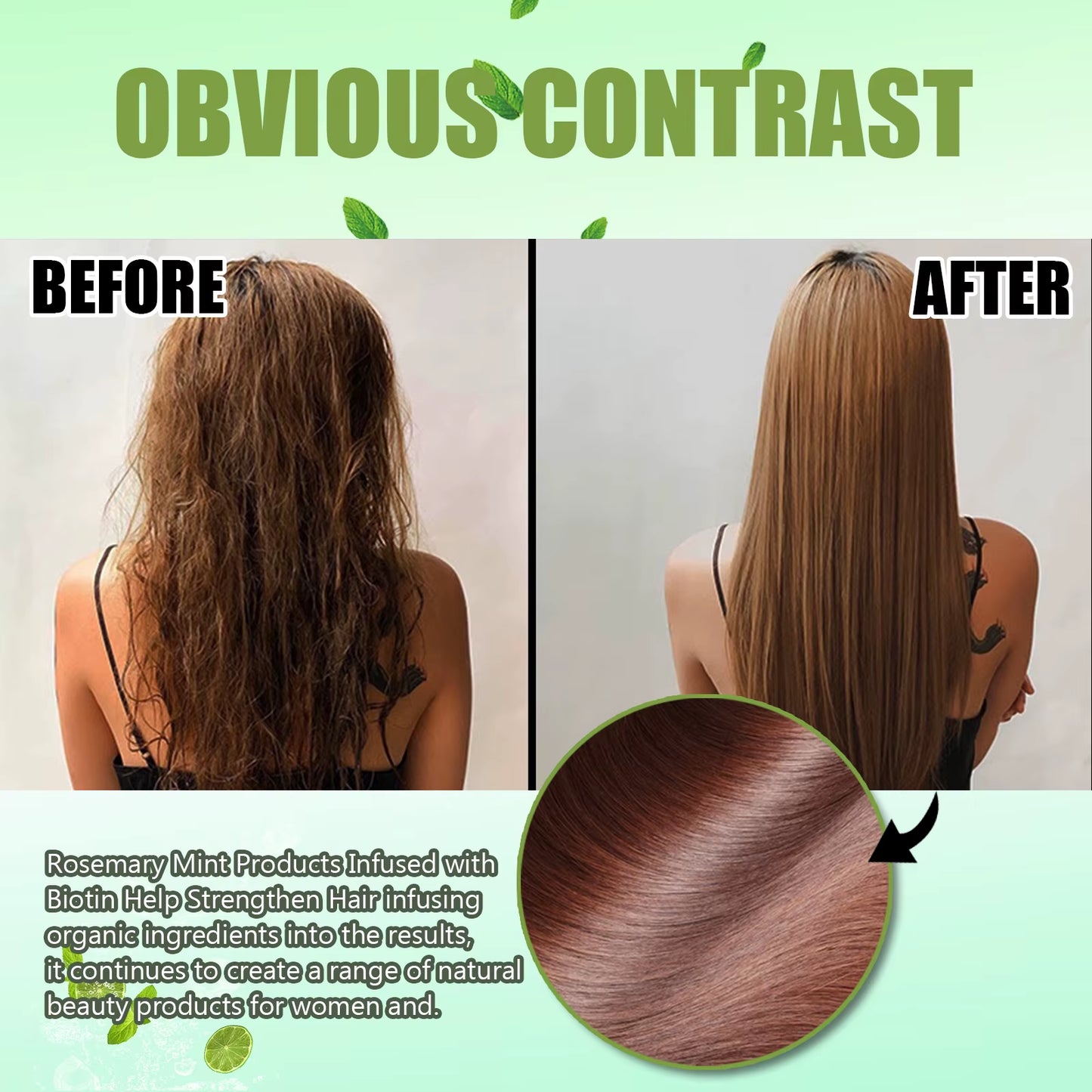 Rosemary Shampoo anti Frizz Smoothing Hair Nourishing Shampoo Oil Control Repair Damaged Hair Strengthening Shampoo 100Ml